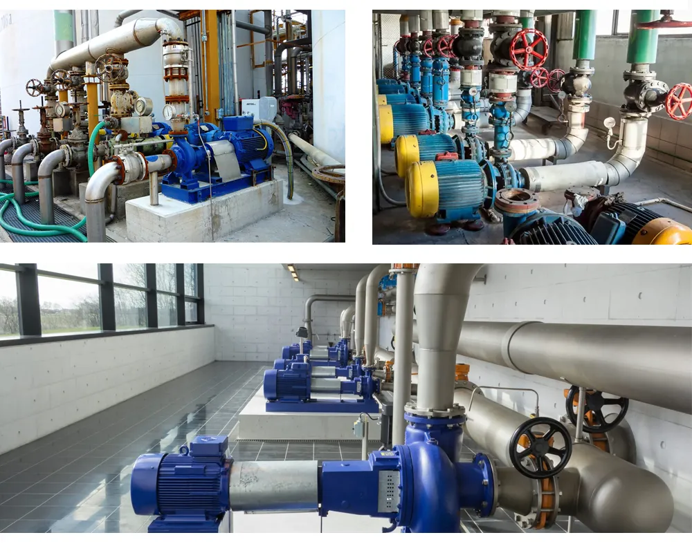 Chemical-Feed-Pump-application